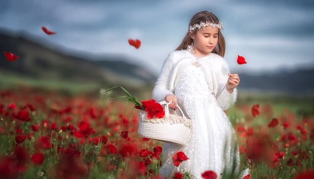 Sesion de fotos de Primera Comunión en Pamplona. Fotografía de Comunión al atardecer en un campo de amapolas